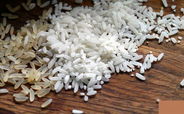 مرکز پخش برنج چمپا جنوب